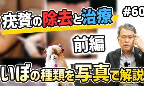 祛痣膏的功效与作用-祛痣精油的功效网 :分享祛痣精油用了会有疼痛感吗-精油点痣知识